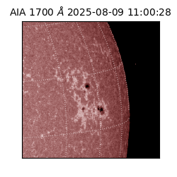 saia - 2025-08-09T11:00:28.721000