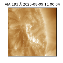 saia - 2025-08-09T11:00:04.843000