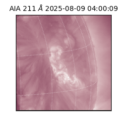 saia - 2025-08-09T04:00:09.625000