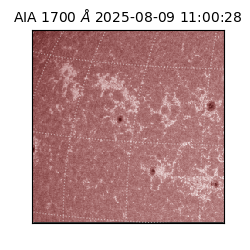 saia - 2025-08-09T11:00:28.721000