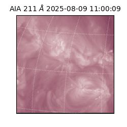saia - 2025-08-09T11:00:09.626000