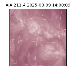 saia - 2025-08-09T14:00:09.626000