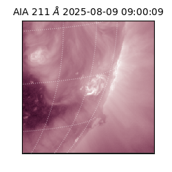 saia - 2025-08-09T09:00:09.630000