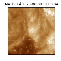 saia - 2025-08-09T11:00:04.843000