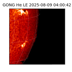 gong - 2025-08-09T04:00:42