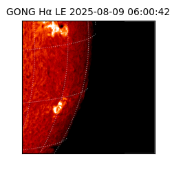gong - 2025-08-09T06:00:42