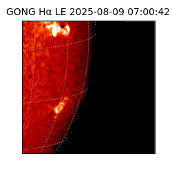 gong - 2025-08-09T07:00:42