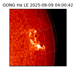 gong - 2025-08-09T04:00:42