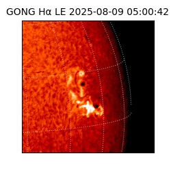 gong - 2025-08-09T05:00:42