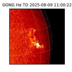 gong - 2025-08-09T11:00:22