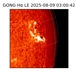 gong - 2025-08-09T03:00:42