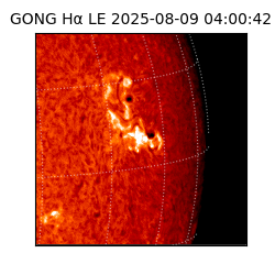 gong - 2025-08-09T04:00:42
