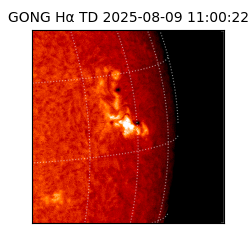 gong - 2025-08-09T11:00:22