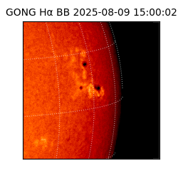 gong - 2025-08-09T15:00:02