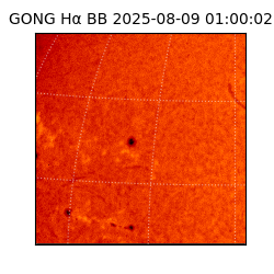 gong - 2025-08-09T01:00:02