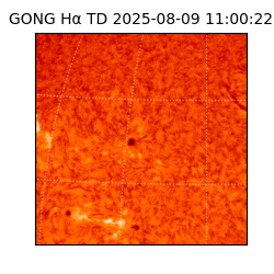 gong - 2025-08-09T11:00:22