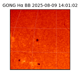 gong - 2025-08-09T14:01:02