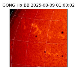 gong - 2025-08-09T01:00:02