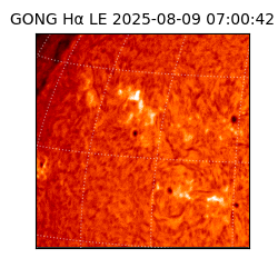 gong - 2025-08-09T07:00:42