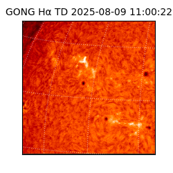 gong - 2025-08-09T11:00:22
