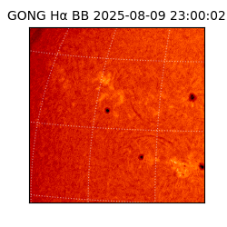 gong - 2025-08-09T23:00:02