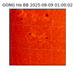 gong - 2025-08-09T01:00:02