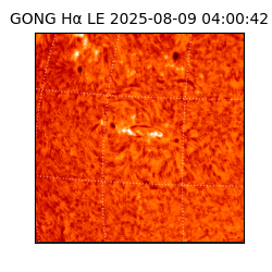 gong - 2025-08-09T04:00:42