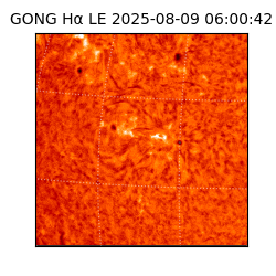 gong - 2025-08-09T06:00:42