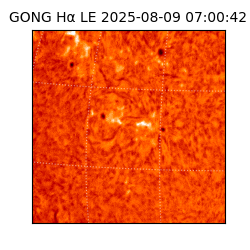 gong - 2025-08-09T07:00:42