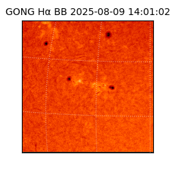 gong - 2025-08-09T14:01:02