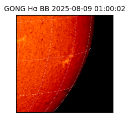 gong - 2025-08-09T01:00:02