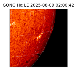 gong - 2025-08-09T02:00:42