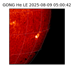 gong - 2025-08-09T05:00:42