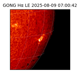 gong - 2025-08-09T07:00:42