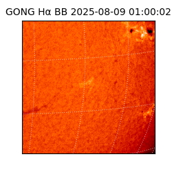 gong - 2025-08-09T01:00:02