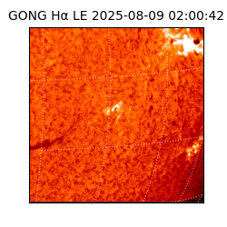 gong - 2025-08-09T02:00:42