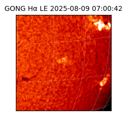 gong - 2025-08-09T07:00:42