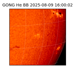 gong - 2025-08-09T16:00:02