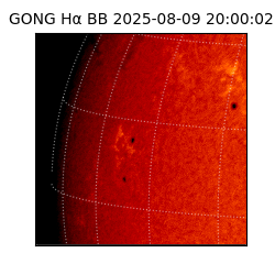 gong - 2025-08-09T20:00:02