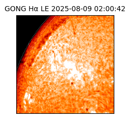 gong - 2025-08-09T02:00:42