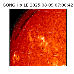 gong - 2025-08-09T07:00:42