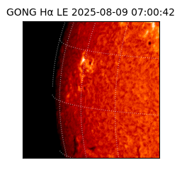 gong - 2025-08-09T07:00:42