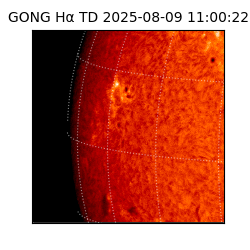 gong - 2025-08-09T11:00:22