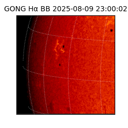 gong - 2025-08-09T23:00:02