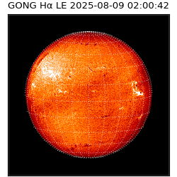 gong - 2025-08-09T02:00:42
