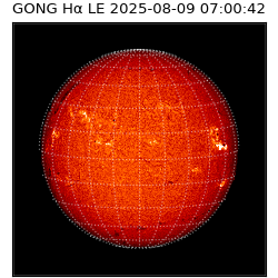 gong - 2025-08-09T07:00:42