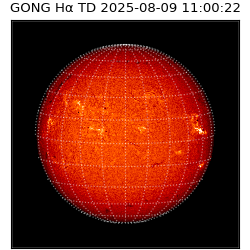 gong - 2025-08-09T11:00:22