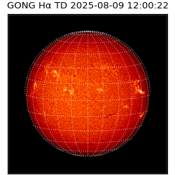 gong - 2025-08-09T12:00:22