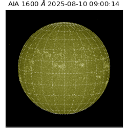 saia - 2025-08-10T09:00:14.125000