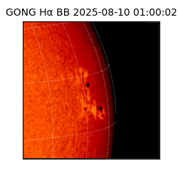 gong - 2025-08-10T01:00:02
